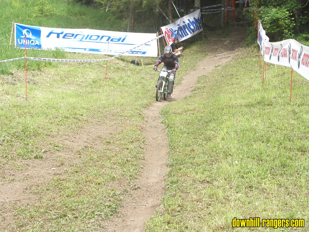 155_wiese