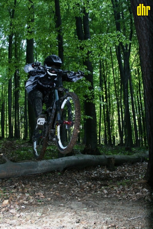 Bild_103