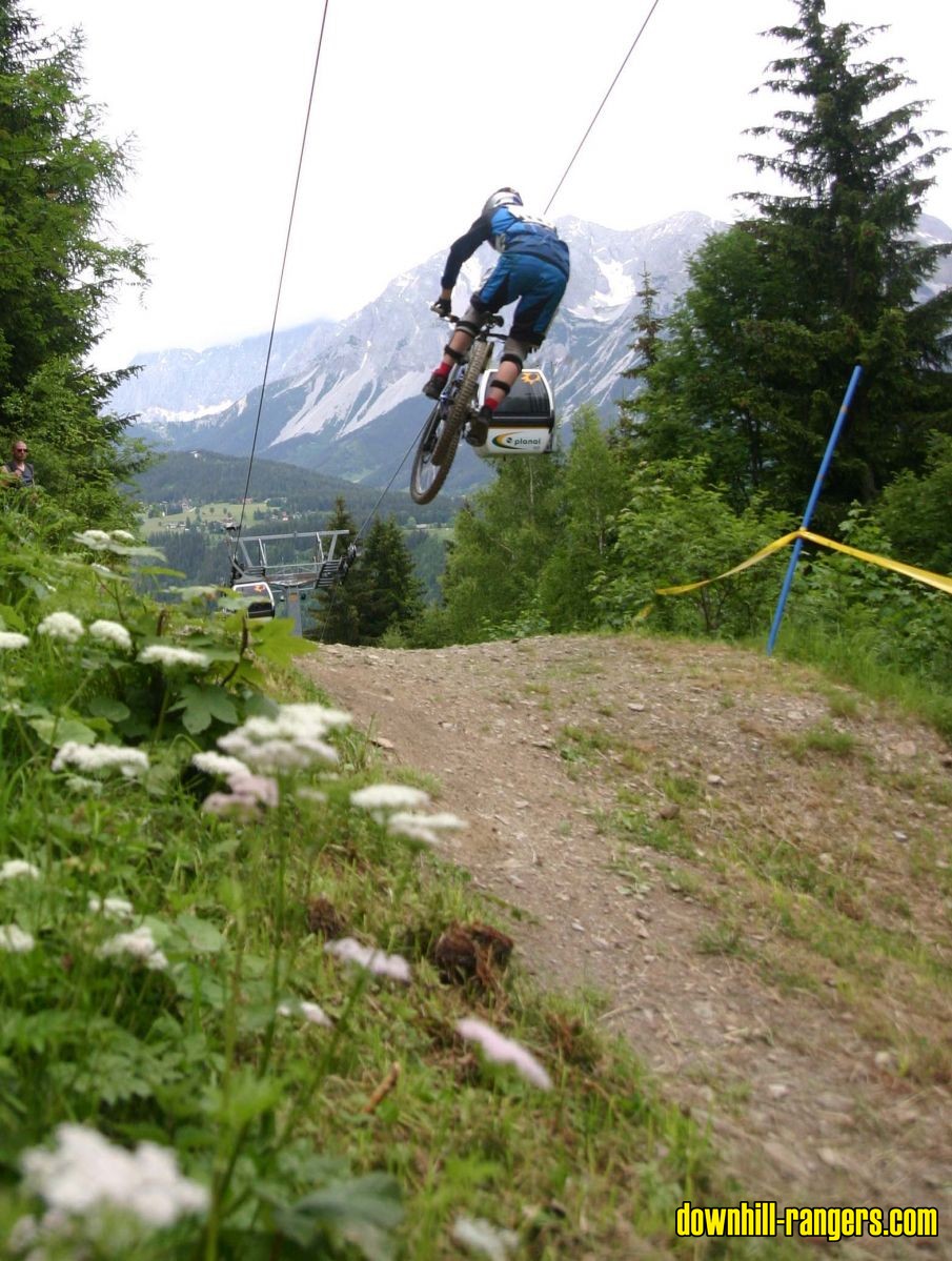 Staufer_stepup