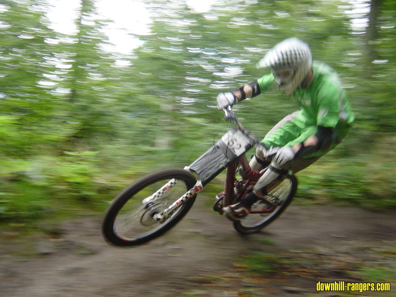 Thale_2007_161
