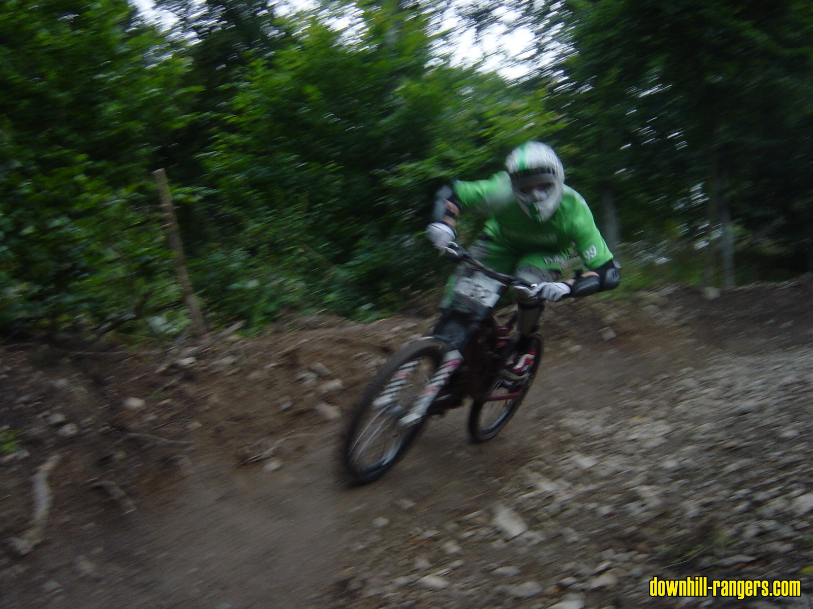 Thale_2007_5