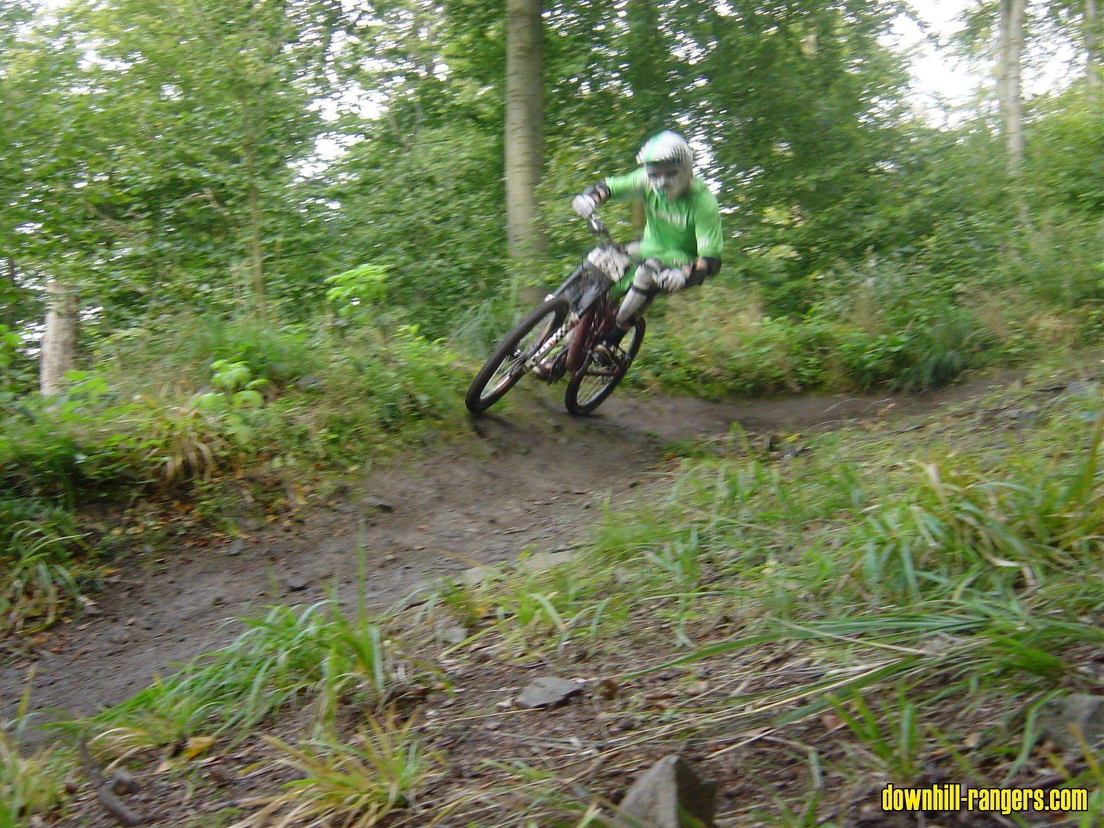 Thale_2007_6