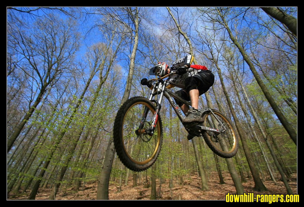 comp_IMG_9958_b
