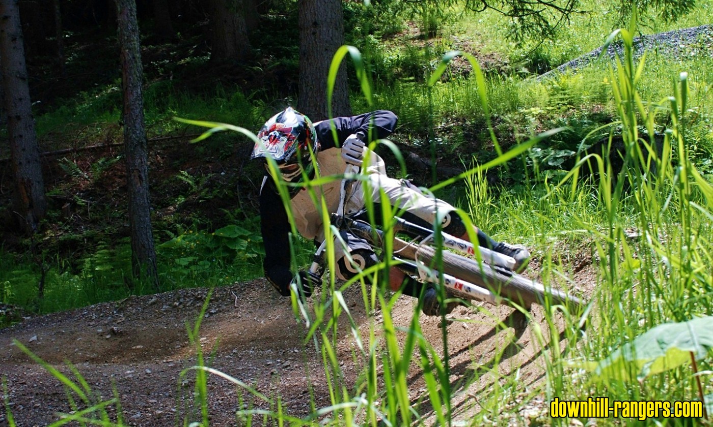 killtheberm