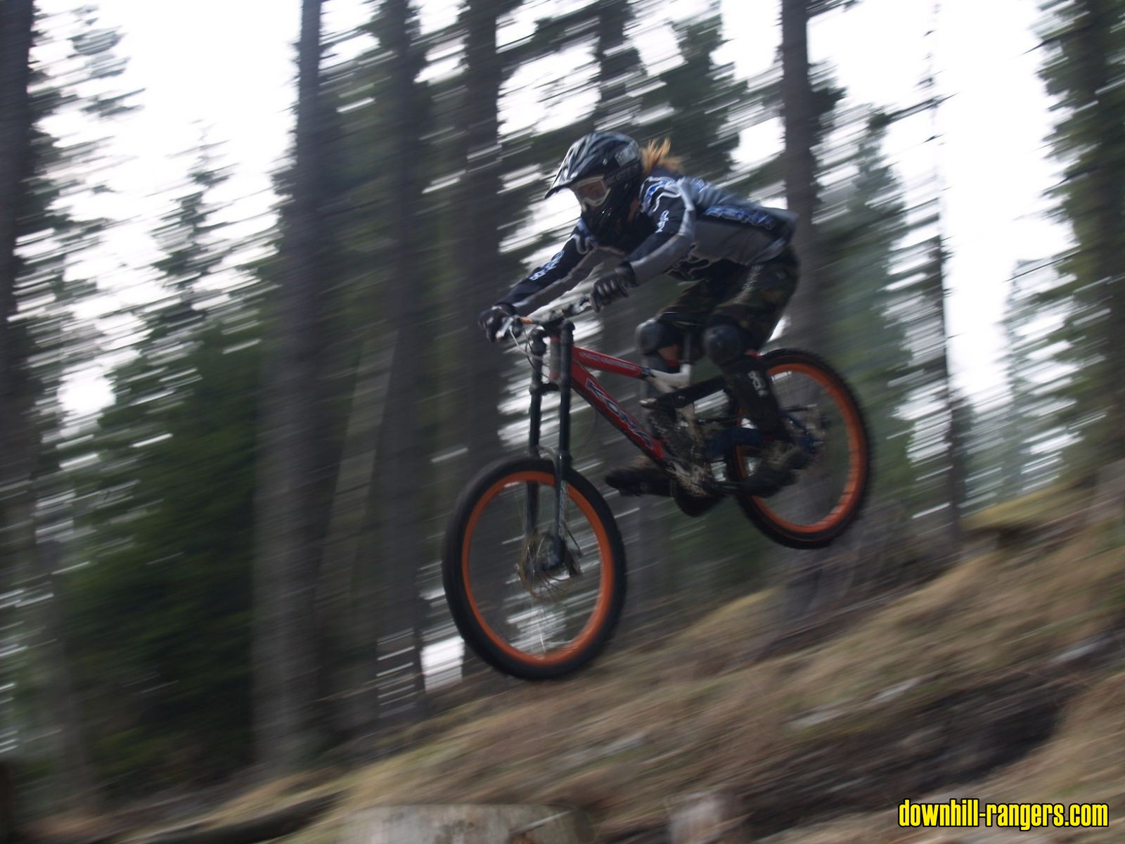 puch_sprung