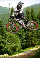 whip
Dateiname: 002.jpg