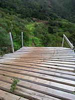 Teneriffa
Dateiname: 070120101841.jpg