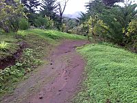 Teneriffa trail [Bikepark]
Dateiname: 070120101845.jpg