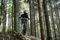 Northshore
Dateiname: 120.jpg
