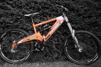 Orange 224
Dateiname: 126.jpg