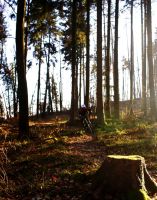 Wintersonne
Dateiname: 28_12_2008_14-22-22.JPG