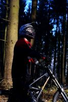 Wintersonne
Dateiname: 28_12_2008_14-39-53.JPG