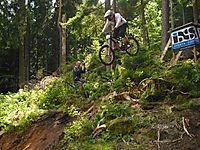IXS DH Cup Bad Wildbad 2009
Dateiname: BadWildbad-Stieven_woodpacker.jpg
