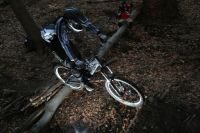 Wienerwald Racing 5
Dateiname: Bild_110.jpg