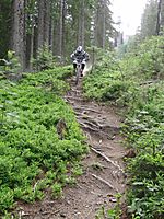 shredden
Dateiname: CIMG0761.jpg
