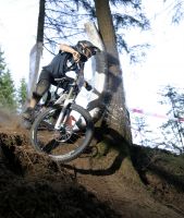 DH racing in Parschlugg
Dateiname: DHbearb.jpg