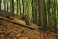 Hometrail Session

User: Flo(w)rider
2013-05-13, 15:11
1600 x 1067 Pixel
Location: secret

Klicks: 110
Rating: 9,0

Dateiname: DPP_0026.JPG