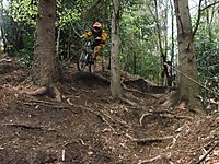 stresa rippen 2
Dateiname: DSC2.jpg