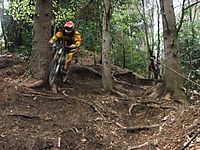 stresa rippen 3
Dateiname: DSC3.jpg