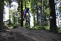 Gurten
Dateiname: DSC_0272.JPG