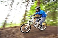 Semmering 11.6.2009
Dateiname: DSC_8379_klein.jpg