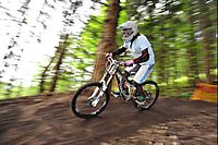 Semmering 11.6.2009
Dateiname: DSC_8418_klein.jpg