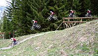 G�pperl
Dateiname: Fuxl-Drop_m.jpg