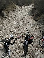Bozen-Latsch 09
Dateiname: IMG_0701.JPG