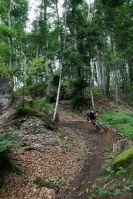 gaisberg-aigen
Dateiname: IMG_2347.JPG