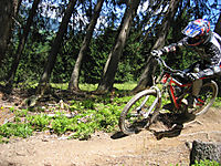 auf der Flucht vor den w�tenden Ameisen
Dateiname: IMG_2352klein.jpg
