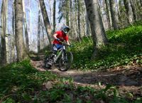 fr�hlingsritt
Dateiname: IMG_2459.jpg