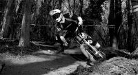 BW
Dateiname: IMG_4387.jpg
