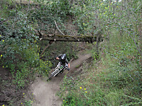 Rio Escondido
Dateiname: IMG_7500-Kamloops-Rio-Escondido-Hannes-Baum-1600.jpg
