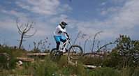 Varigotti DH
Dateiname: IMG_8977_.jpg