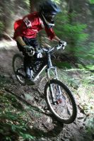 Wienerwald shreddn
Dateiname: Kopie_von_Flo_2.jpg