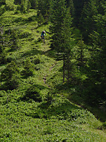 Saalbach Freeriden
Dateiname: P1070487-Sandra-Gruen.jpg