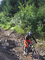 schladming 2009
Dateiname: PICT2267II.jpg