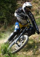 kurve
Dateiname: attersee70407_klein.jpg
