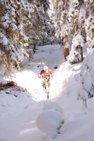 snow and sun
Dateiname: bike_21.jpg