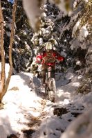 im wald
Dateiname: bike_6.jpg