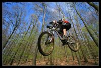 erste Sonne
Dateiname: comp_IMG_9958_b.jpg