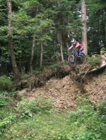 Drop im wald
Dateiname: f_nsee.jpg