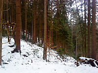 Das Gap bei Schnee
Dateiname: gap10.jpg