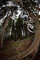 roll down
Dateiname: marco-20.jpg