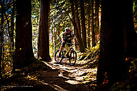 RideAble Project - Alex Ganster
Dateiname: mtb_freeride_tv_produktest_2011_ghost_Cagua-94.jpg