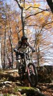 gaisberg
Dateiname: yvxc.JPG