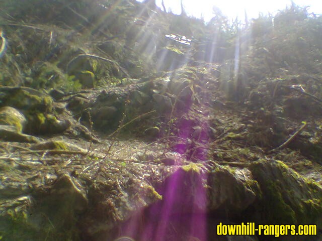 Bild0101