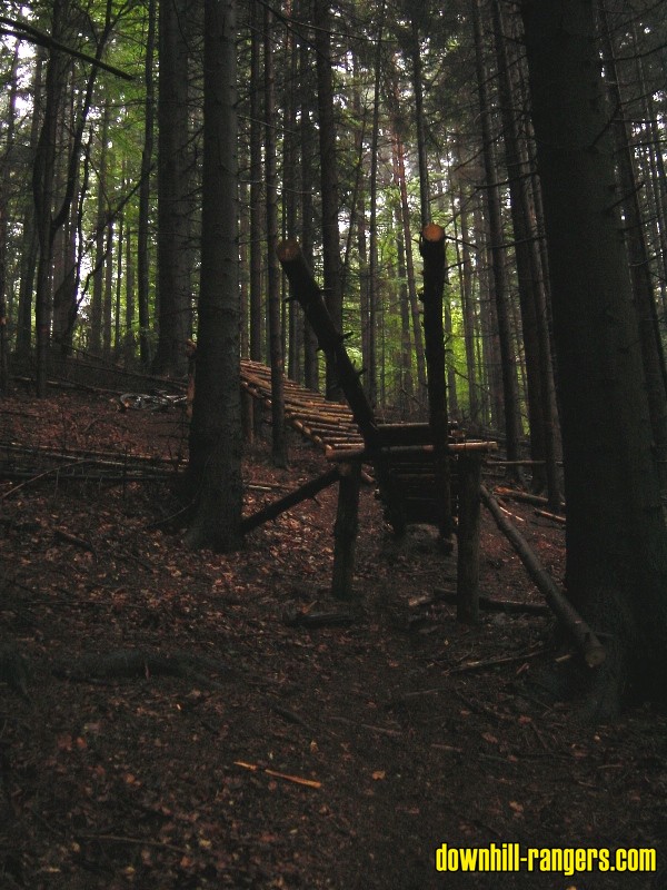 DSC00123