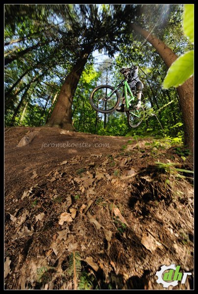 DSC_2299_Kopie