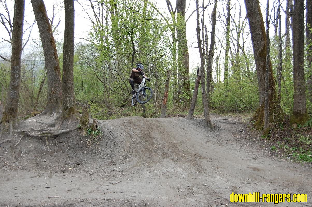 Dirt_gaudi